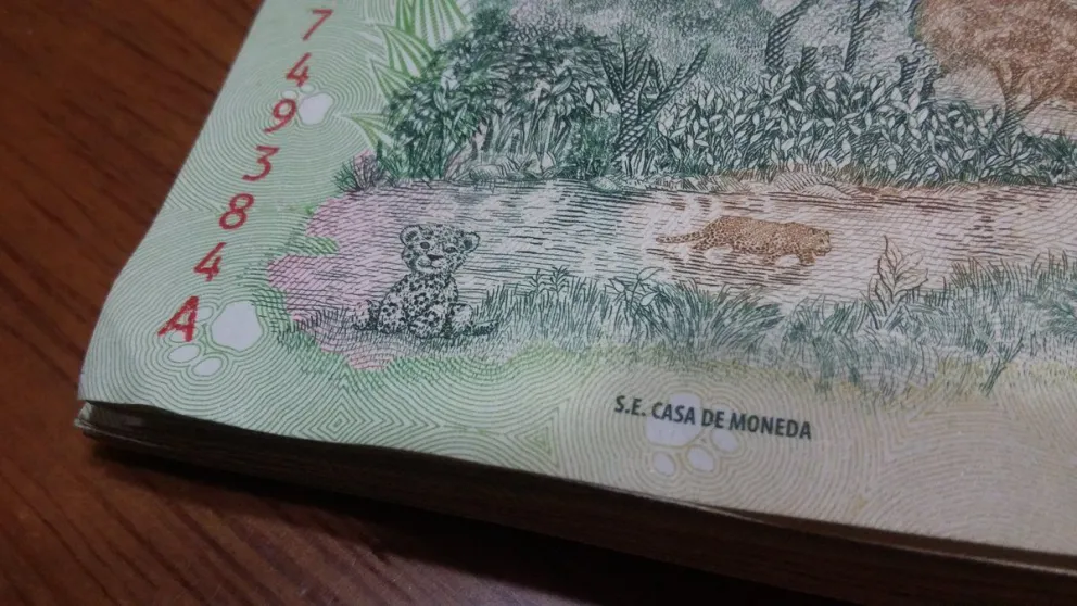 ¿Habías visto el bebé yaguareté oculto en el billete de 500 pesos?