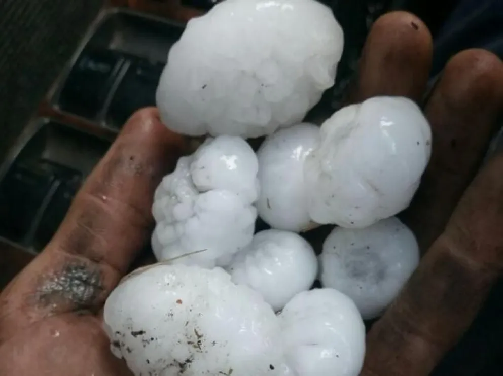 Brindaron detalles sobre la impresionante granizada que afectó al sector agrícola local