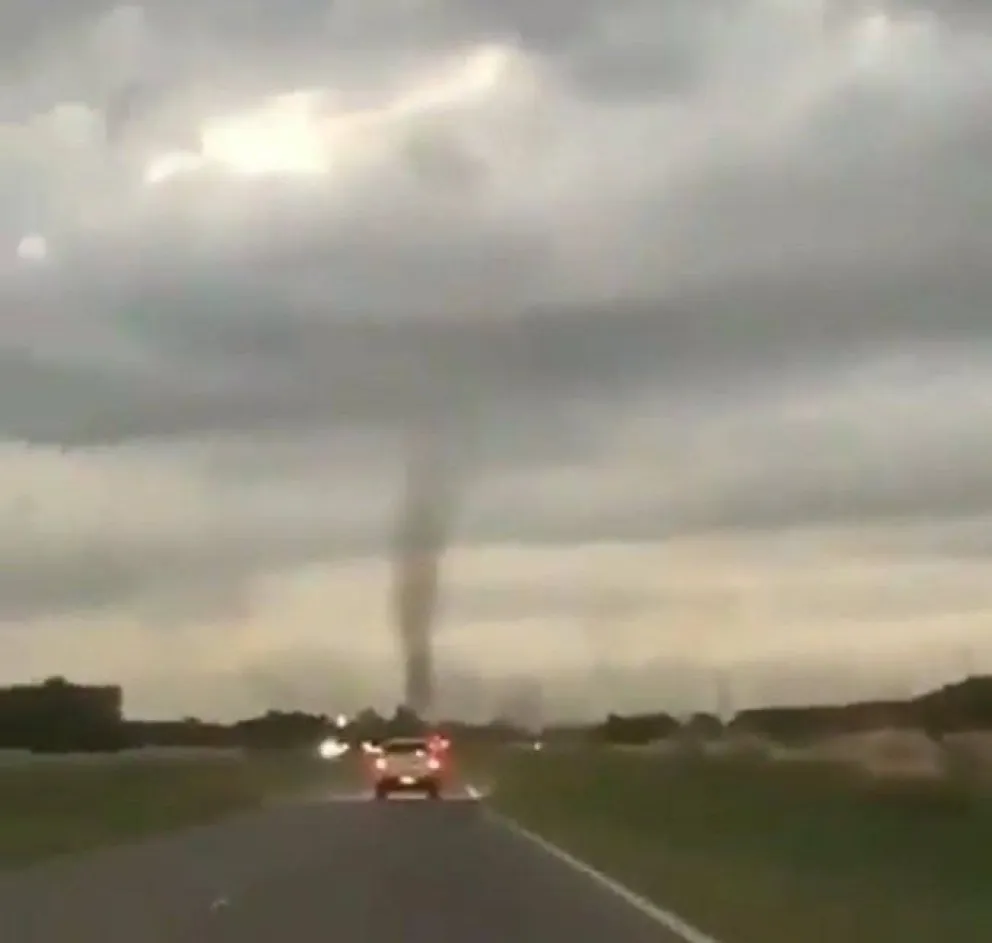 Video: impactante tornado de mosquitos en Pinamar