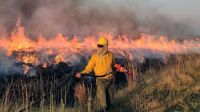Por los incendios, Córdoba pide declarar territorios provinciales como "zonas de desastre agropecuario"
