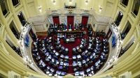 El Gobierno cuestionó a la oposición por impedir la sesión en el Senado