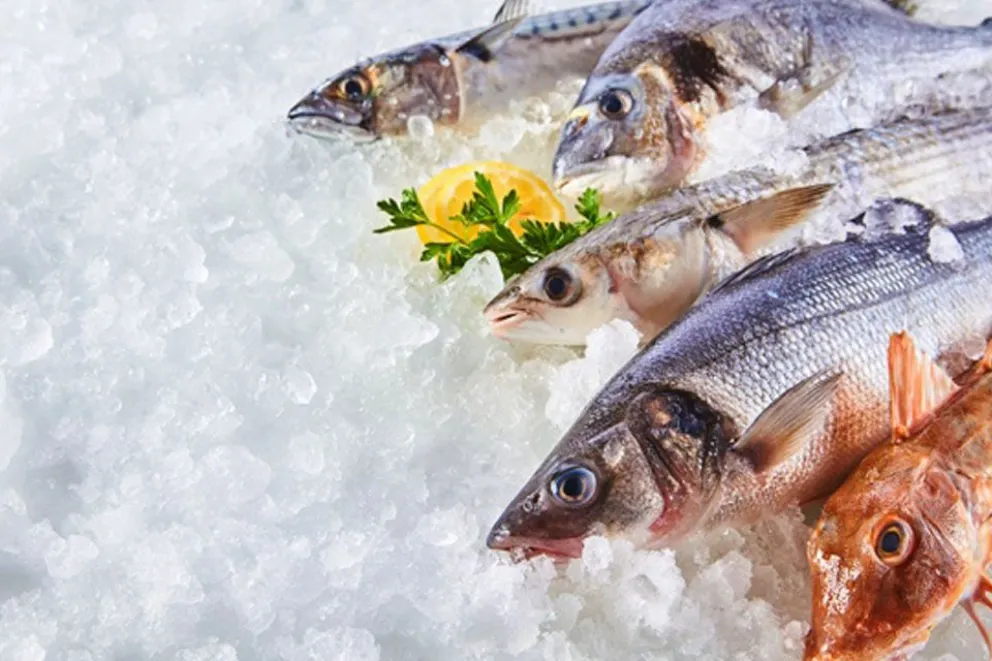 Precios del pescado en Mar del Plata: ¿Cuánto cuesta disfrutar del mar en la mesa?