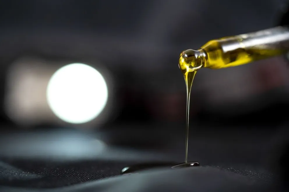 Cannabis medicinal y recreativo: la necesidad de reflexionar sobre un tema tabú para muchas personas