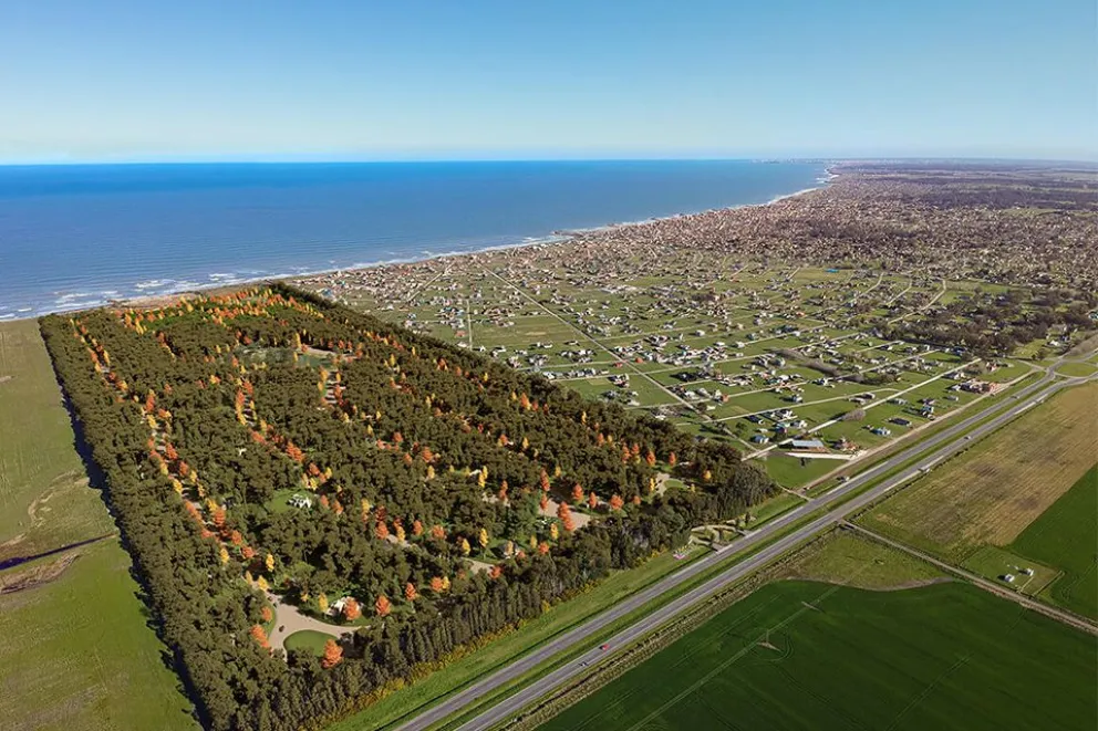 Tipantú, la opción ideal para vivir entre bosque y mar a 25 minutos de Mar del Plata