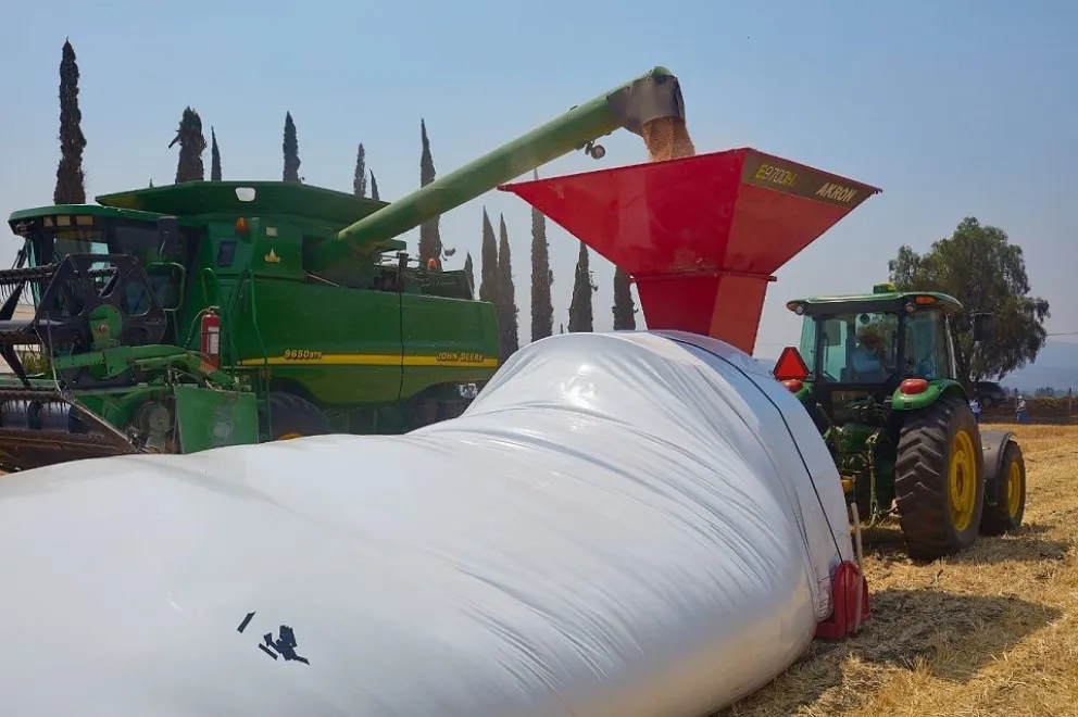 Dólar, campo y nueva medida: “No hay modificaciones de fondo del contexto de incertidumbre y desconfianza”