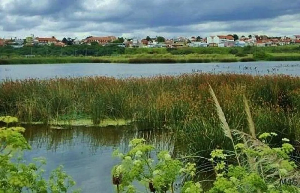 Se realizará una Jornada de Limpieza en la Reserva Natural Puerto Mar del Plata