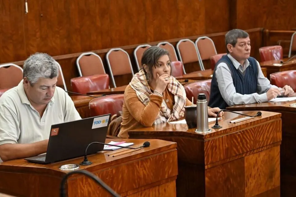 El Concejo Deliberante aprobó el proyecto del sistema de reconocimiento facial