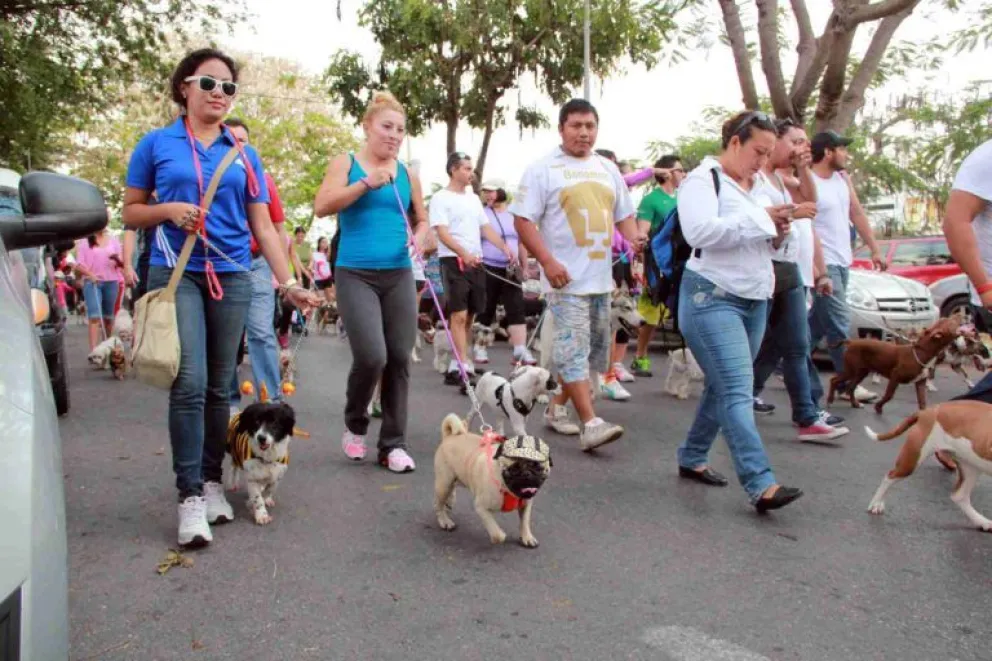 Se presenta la primera Pet Run en Mar del Plata