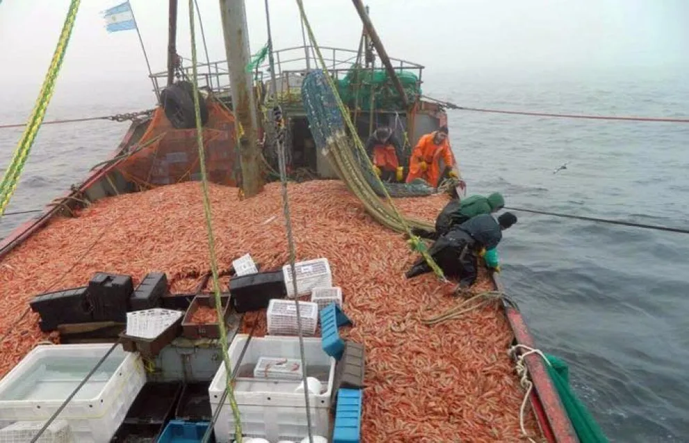 Afirman que está siendo "aceptable" el ritmo de la actividad pesquera