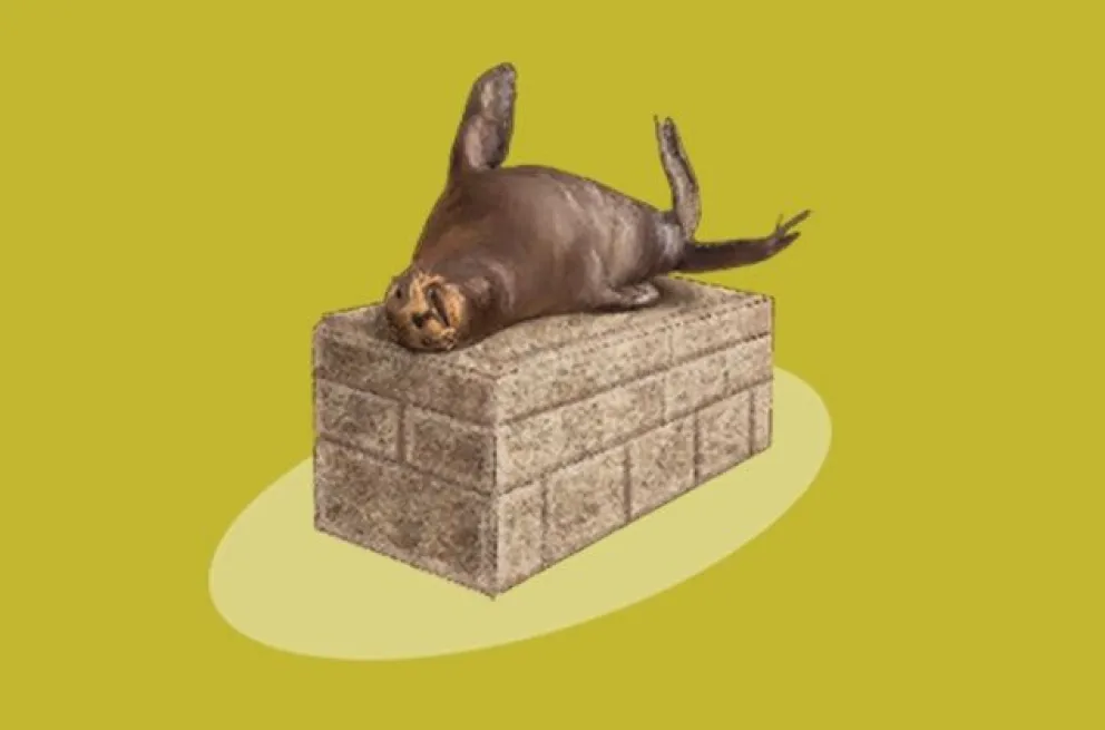 Los otros lobos, un enfoque que interpela la identidad marplatense desde el arte