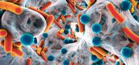 Antimicrobianos: un desafío para la salud mundial