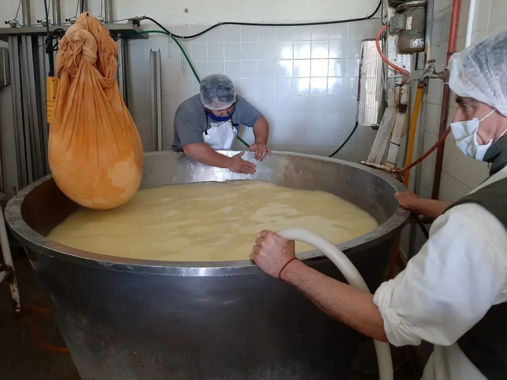 Los quesos de una empresa de Tandil lograron ingresar al mercado estadounidense