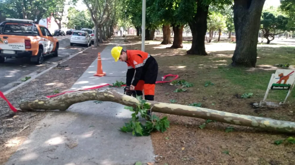 Intenso trabajo de Defensa Civil tras las tormentas en Mar del Plata