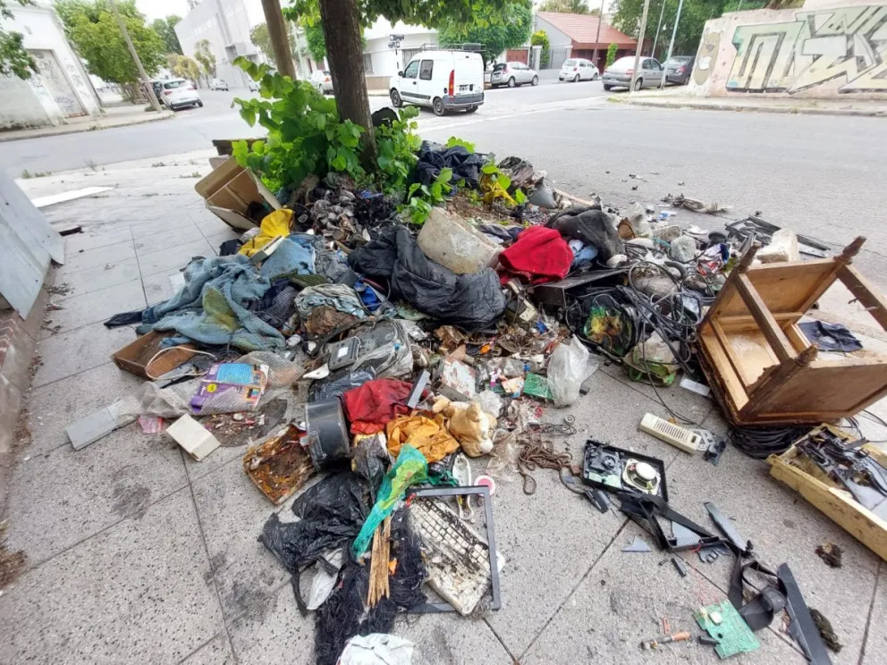 El Municipio retiró más de 34 mil toneladas de residuos dispuestos en microbasurales