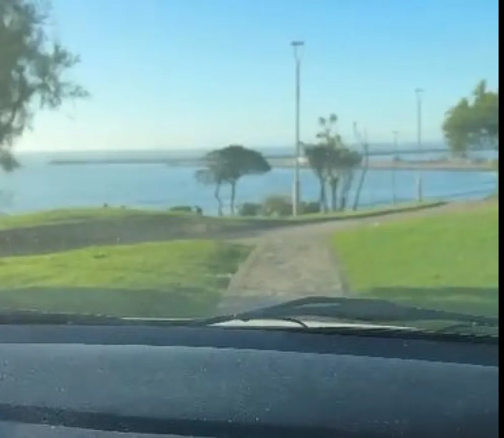 Video: Buscan identificar al joven que cruzó el Parque San Martín con un auto y se filmó