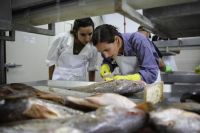 Investigadores del INIDEP brindaron una capacitación a biólogos de la Dirección Provincial de Pesca