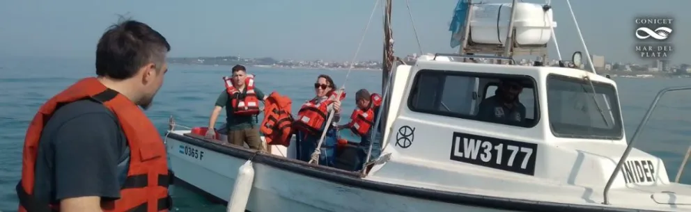 ¿Cómo afecta al crecimiento de los peces la presencia de microplásticos en los océanos?