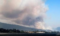 Chile en estado de emergencia por incendios forestales: hay al menos 23 muertos