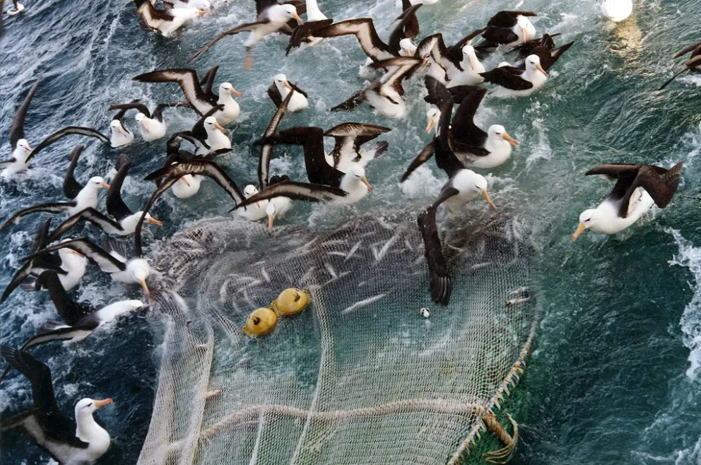 INIDEP realiza ensayos y calibración de redes de arrastre