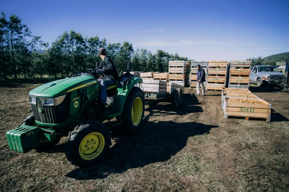 Productores de Mar del Plata pueden anotarse para promocionarse en el mercado internacional
