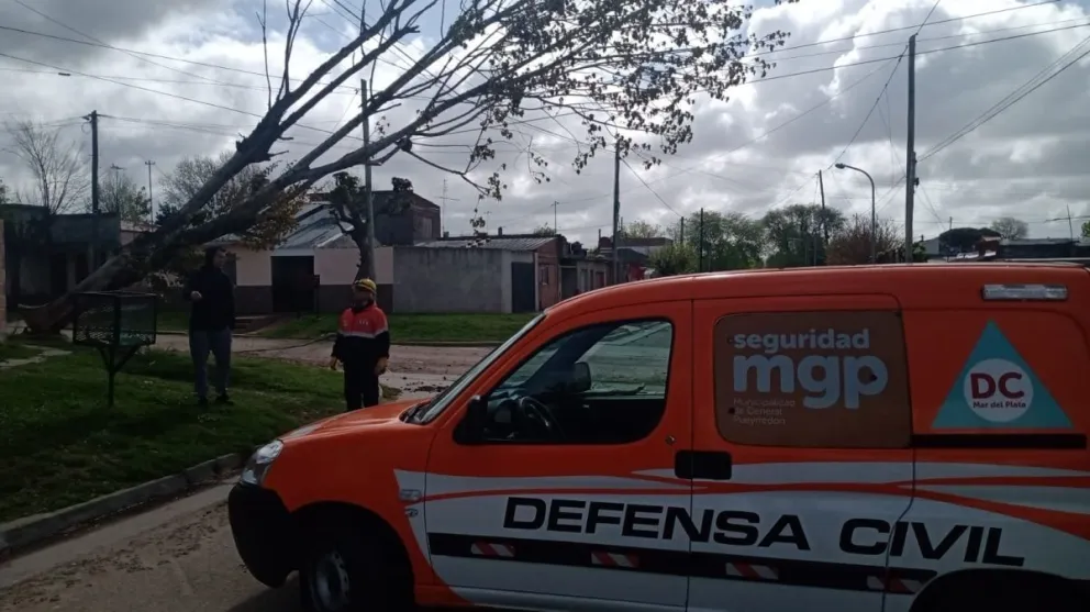 Temporal en Mar del Plata: Más de 70 reclamos a Defensa Civil