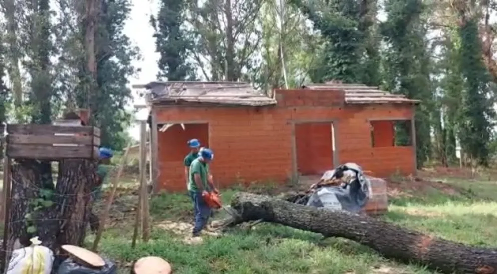 Rama de árbol cayó durante el temporal y destrozó el techo de una casa en Bosque Peralta Ramos