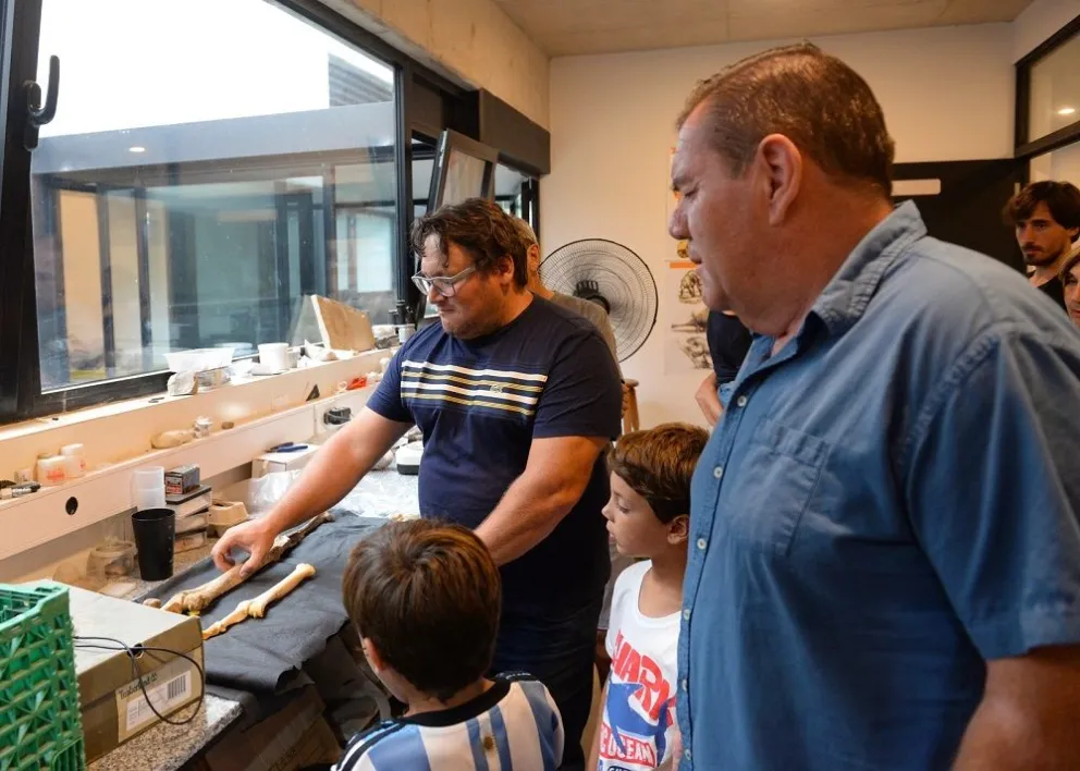 Encuentran un nuevo fósil en el sur de Mar del Plata