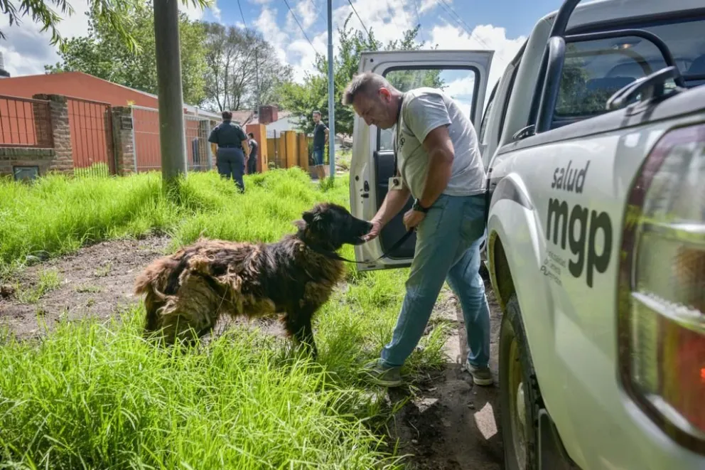 Rescataron un perro que era víctima de maltrato y abandono en una vivienda de Punta Mogotes