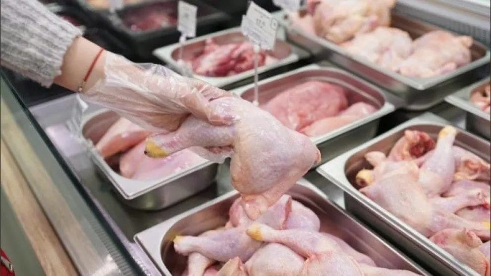 Gripe aviar en Mar del Plata: Aclaran que no hay riesgo en el consumo de carne de pollo y huevos