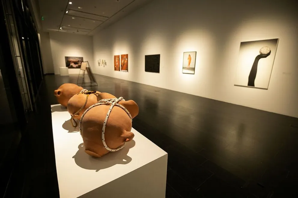 Inaugura la muestra Premio Adquisición 8M en el Museo MAR