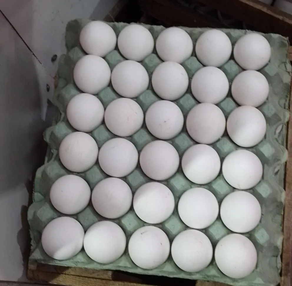 La gripe aviar impacta en el precio de los huevos pero no en el consumo