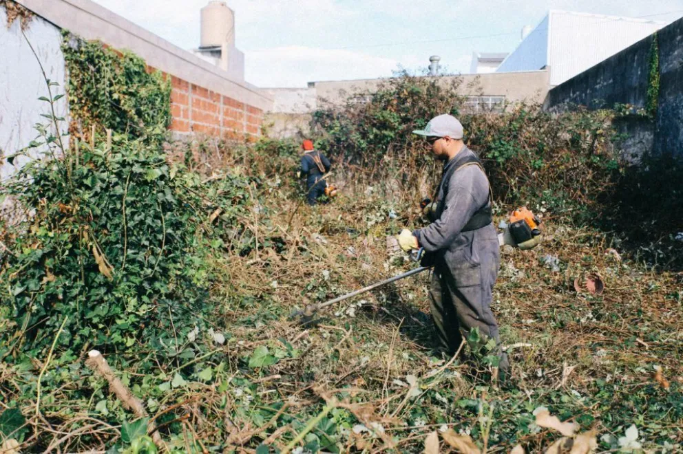 Programa Propietario Responsable