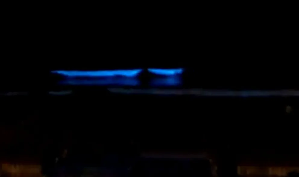 El mar se tiñó de azul y sorprendió a los marplatenses: la explicación de los especialistas