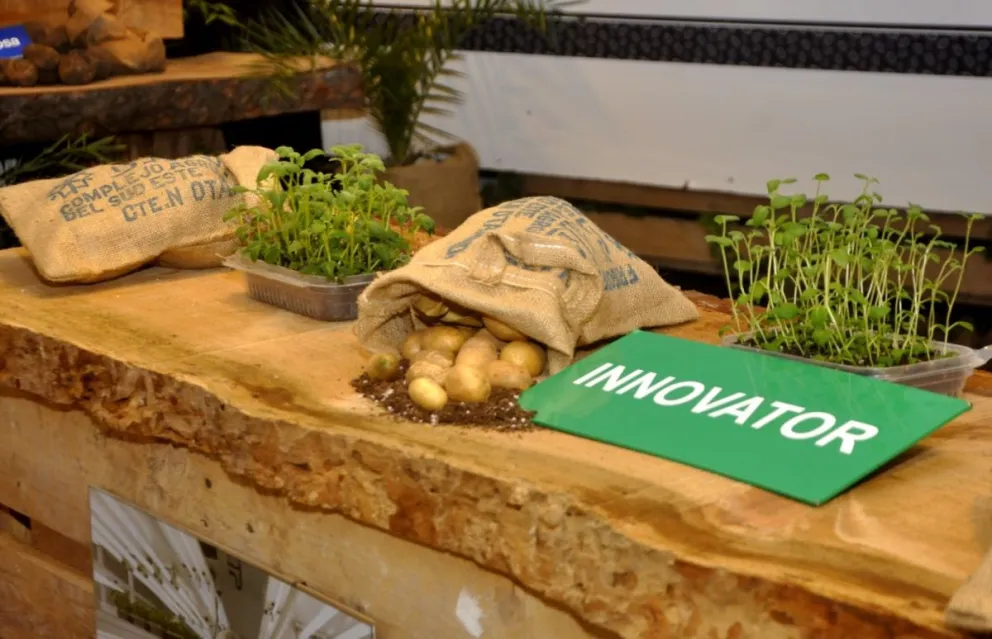 Optimismo en la Provincia por "cifras récord" de exportaciones agrícolas