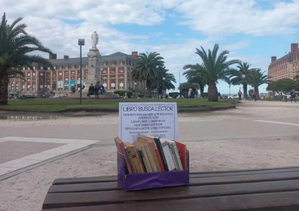 Se viene la primera siembra de libros de 2023 para la ONG "Casa de 20"