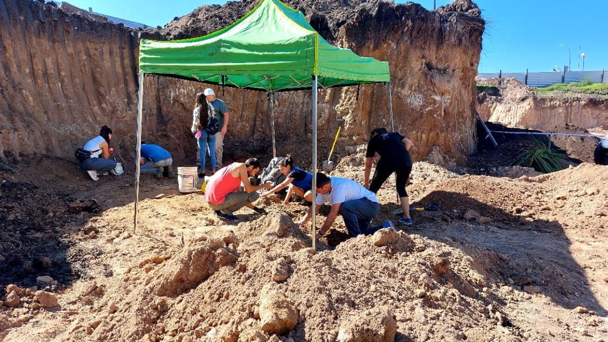 Descubren restos de un gliptodonte en Plaza España 
