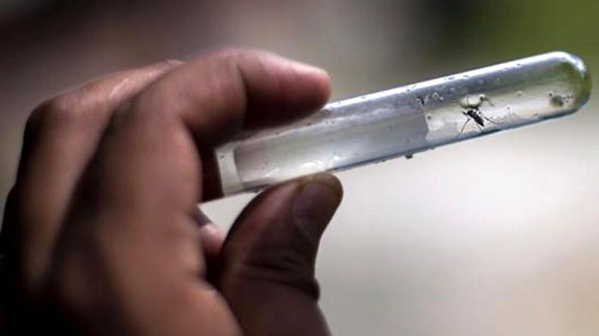 El Ministerio de Salud confirmó que hay más de 9 mil casos de dengue