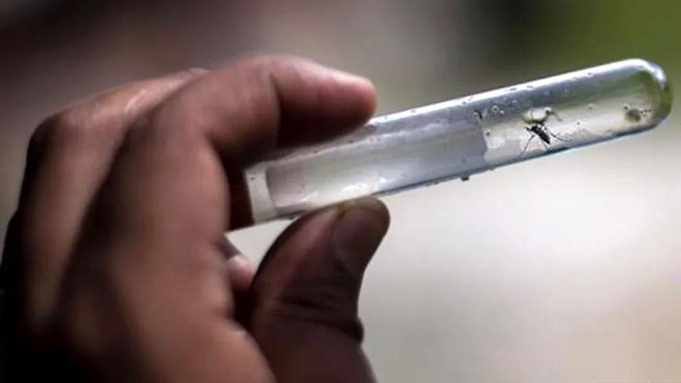 Hay 200 casos autóctonos de dengue en la provincia de Buenos Aires