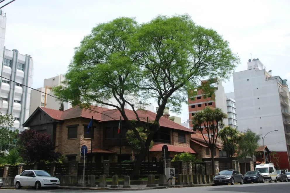 El Consulado de Italia en Mar del Plata ahora atiende consultas por whatsapp