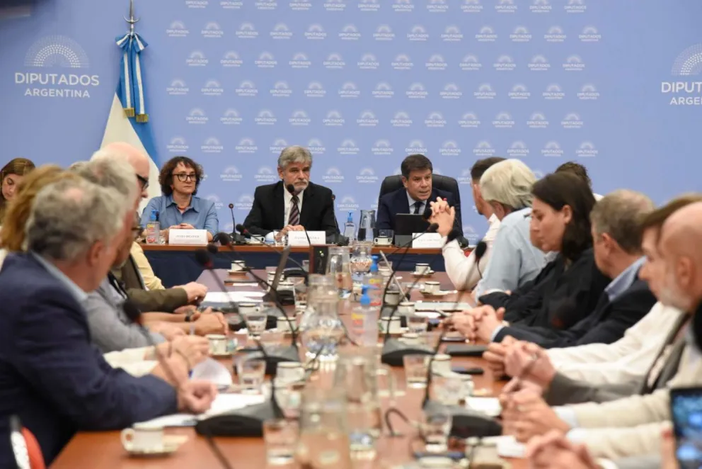 Daniel Filmus expuso ante Diputados sobre el Plan Nacional de Ciencia 2030