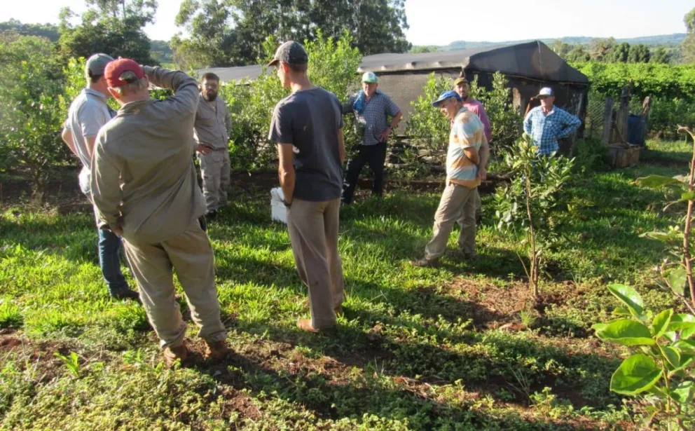 El consumo y las exportaciones de yerba superaron los 45 millones de kilos en el primer bimestre