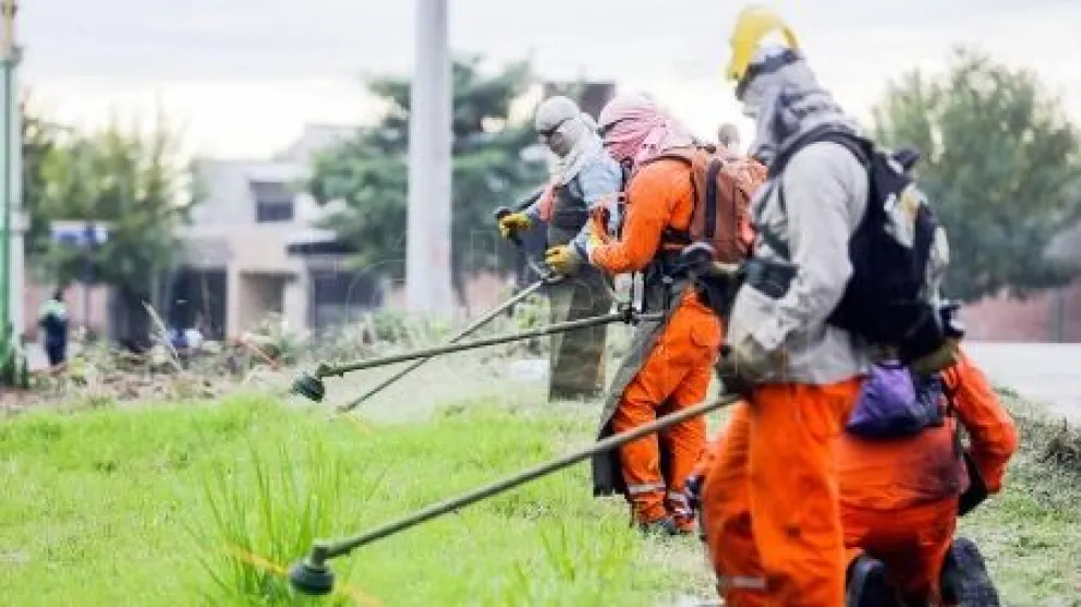 Alarma en Santa Fe: los casos de dengue se cuadruplicaron en los últimos cuatro días