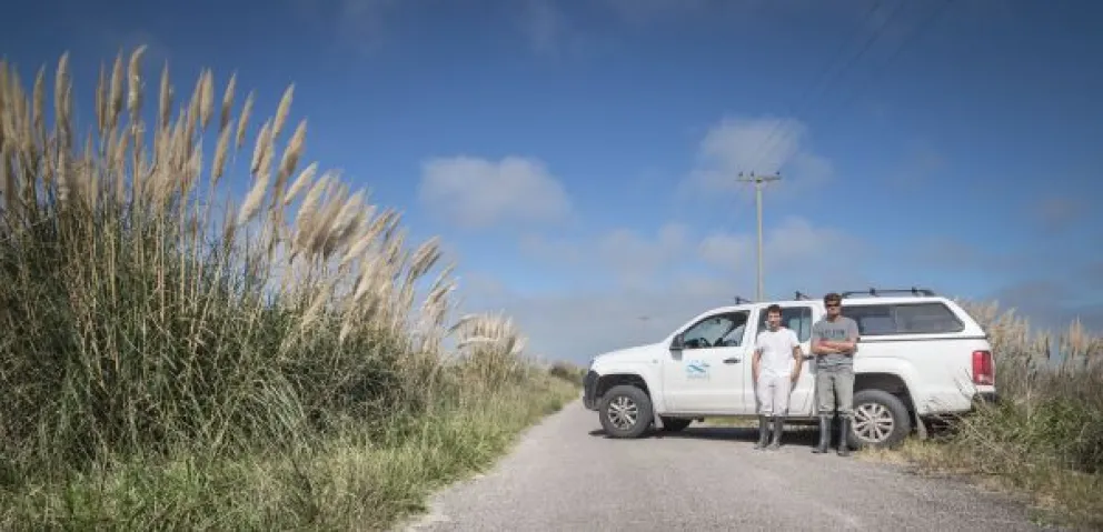 Diversidad biológica: la clave para la conservación ante cambios ambientales
