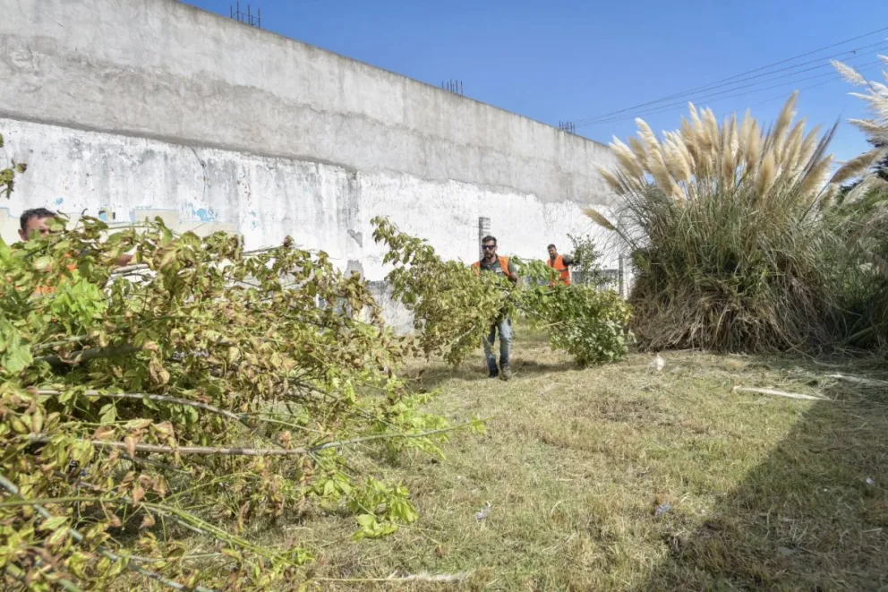 Programa Propietario Responsable: retiraron más de 85 toneladas de residuos en terrenos privados