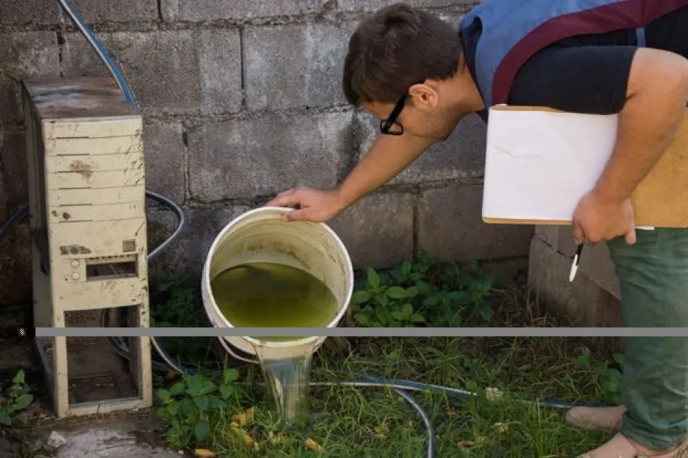 Confirman que Mar del Plata es "uno de los pocos sectores" libres del vector transmisor de dengue