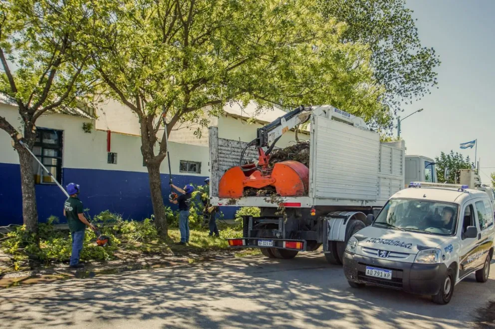 Mar del Plata cuenta con 25 Corredores Escolares Seguros