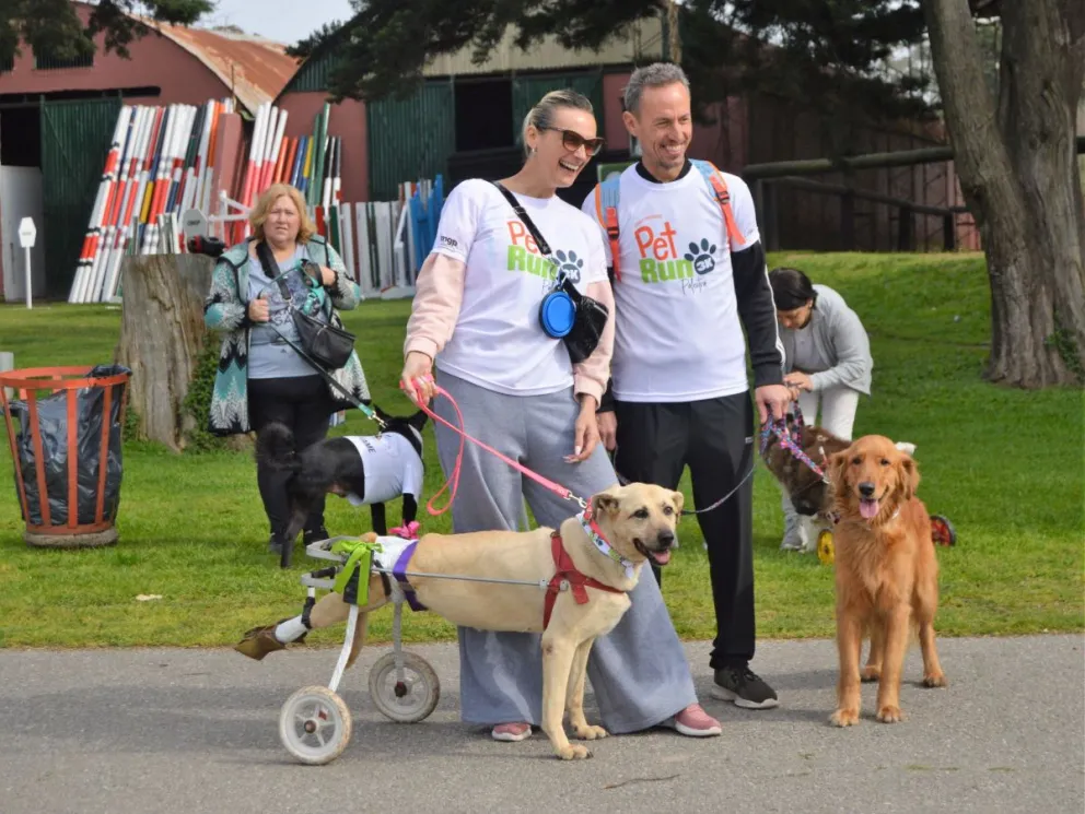 Se acerca una nueva acción familiar y solidaria con la primera edición de PetRun Palestra