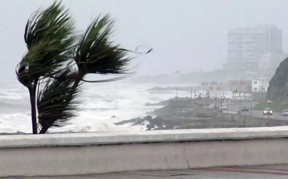 El tiempo en Mar del Plata: anticipan un miércoles con viento fuerte a muy  fuerte | Infobrisas | Noticias de Mar del Plata y la zona