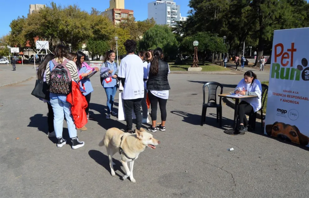Presentaron la primera caminata con perros a beneficio
