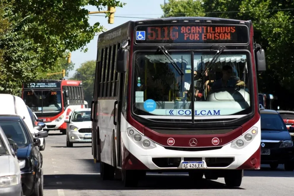 Colectivos Mar del Plata